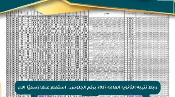 رابط نتيجة الثانوية العامة 2025 برقم الجلوس.. استعلم عنها رسميًا الآن